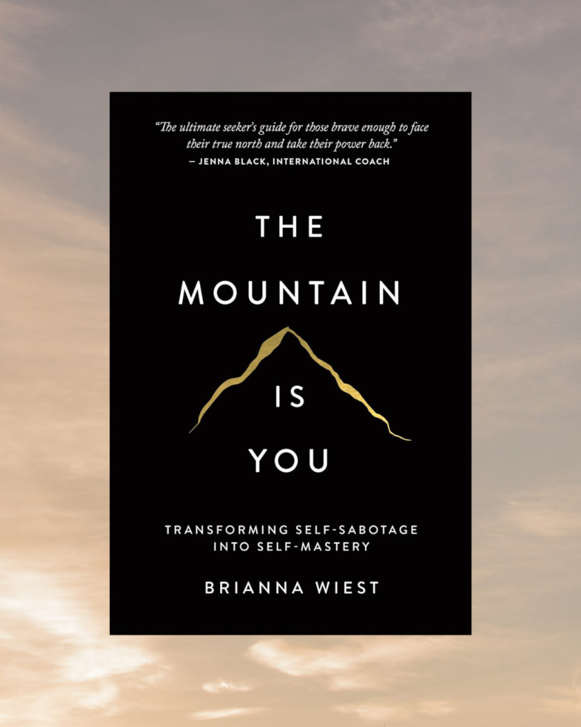 self-development book: The mountain is you